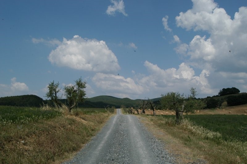 BIBBONA CAMPAGNA